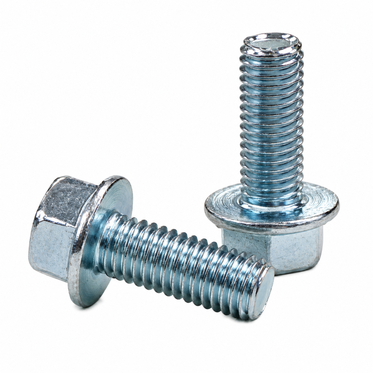 NUT [NB101 DISC 0820F] (UN317)