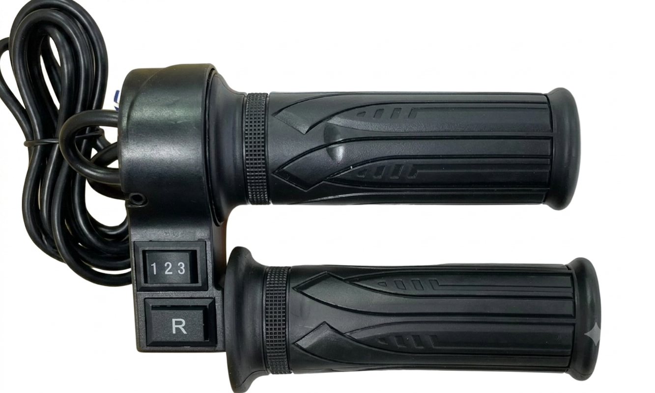 EV Throttle (PLS 123+R) (UN92)