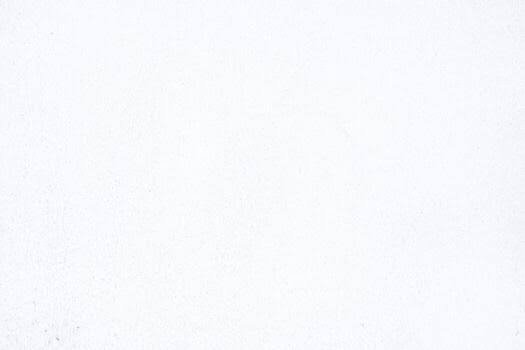 OLA 1072 TIMING BELT [UM451]